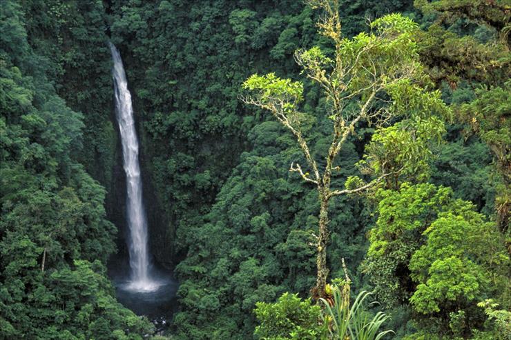 Tapety - Angel Falls a.k.a. Congo Falls, Cordillera Central, Costa Rica.jpg