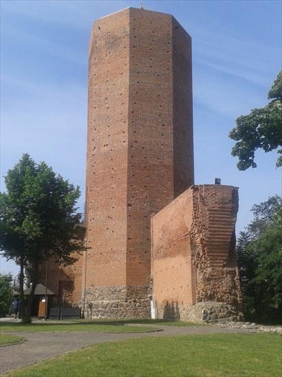 2016.05.30.1 - Kruszwica - Ruiny zamku królewskiego Mysia Wieża - 04 - Mysia Wieża.jpg