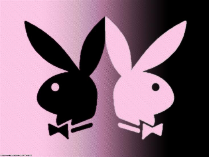 Prasa  FREE - Playboy_Bunny_by_Xeylen.jpg
