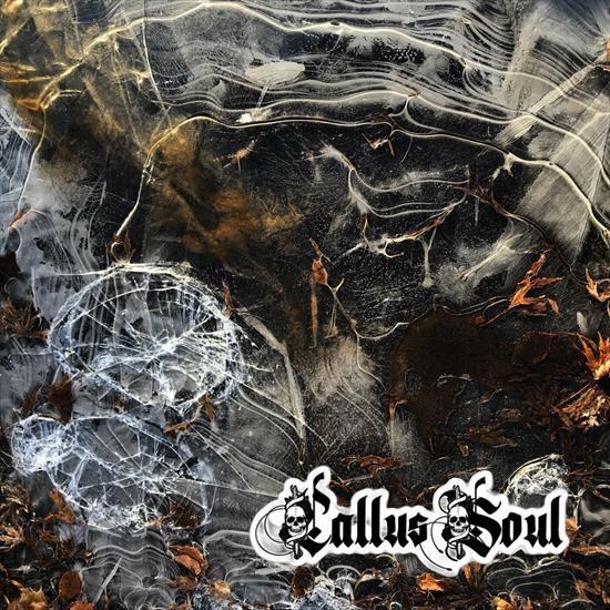 Callus Soul - Callus Soul 2024 - cover.jpg